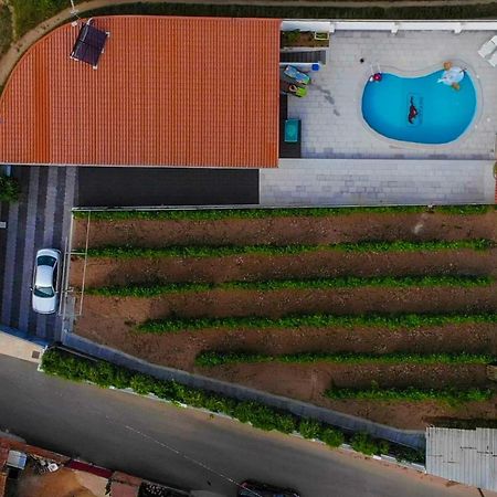 Casinha Das Bonecas - Casa Com Piscina Privada Aveiro Exterior foto